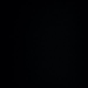 Meet your Posher, Misty